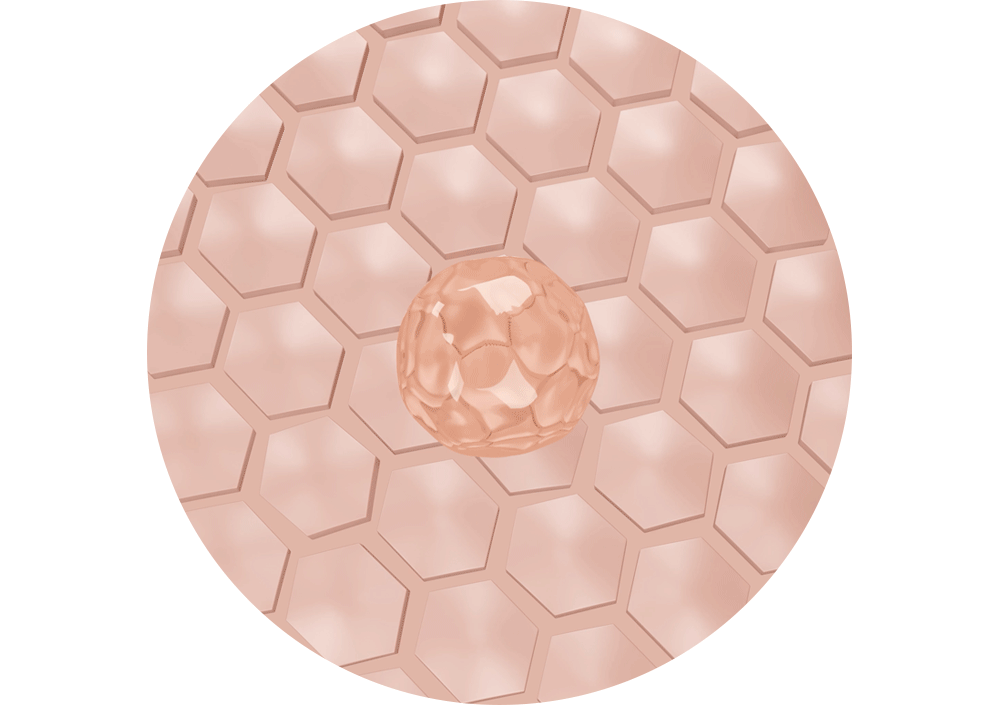 6382794cbdb0953c58adbba74673c750_1776739767_9913.gif