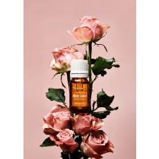 [02월이벤트] 포이아로마 바이오웰 시크릿 로즈오일 5ml 2+1 (1개 구매가능)