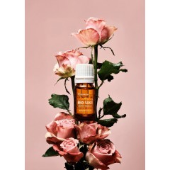 [02월이벤트] 포이아로마 바이오웰 시크릿 로즈오일 5ml 2+1 (1개 구매가능)